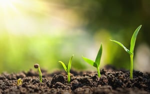 The-Benefits-and-Importance-of-Scalable-Financial-Software